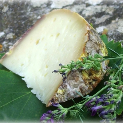 Brebis du Larzac