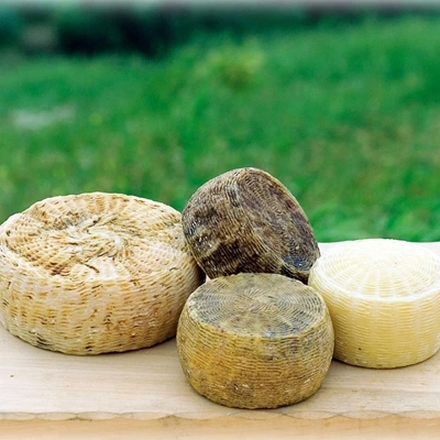 Pecorino di Farindola