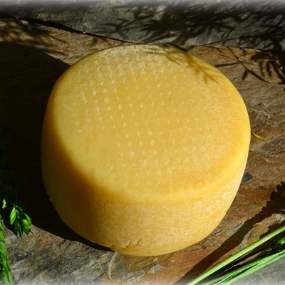 Suau de la Segarra